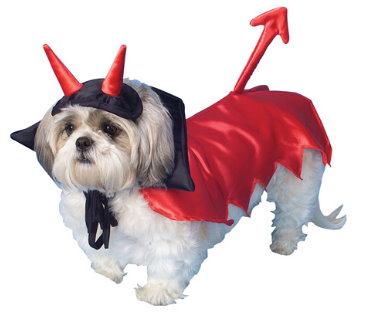 Devill Dog Costume Picture